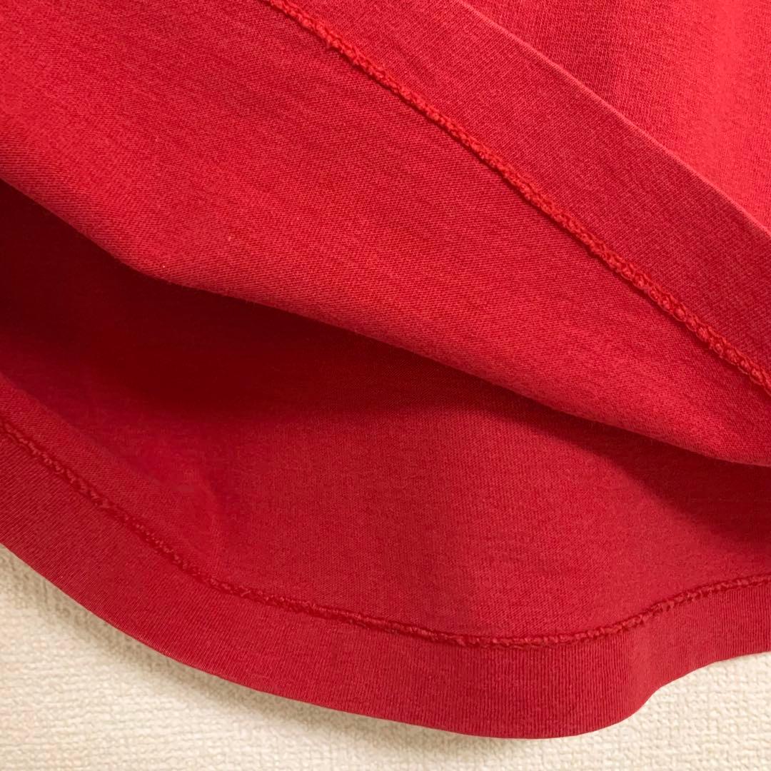 80s 前期 STUSSY USA製 黒タグ ラスタ ライオン Leo Tシャツ