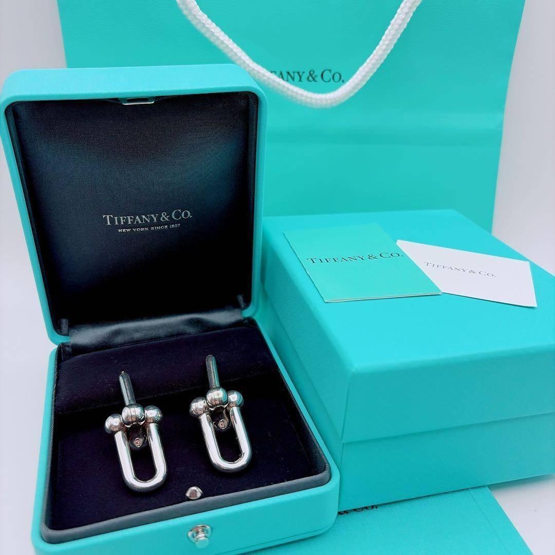 Tiffany & Co. ハードウェア　ピアス　エクストララージ　リンク