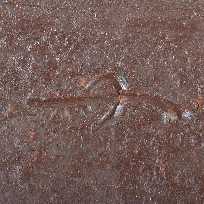 和食器　備前焼　乗松建行作　銀杏型銘々皿　六客　共箱　M　R7891