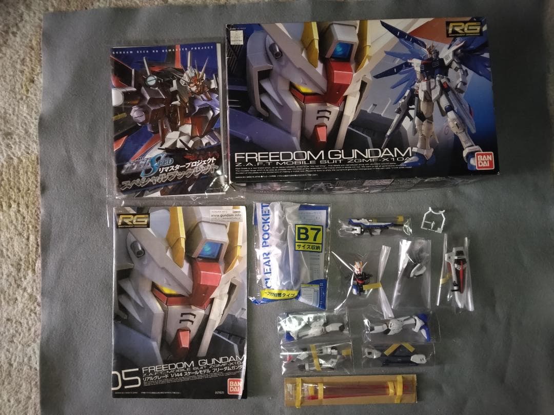 正月価格【塗装済 完成品】RG 1/144 フリーダムガンダム 光沢塗