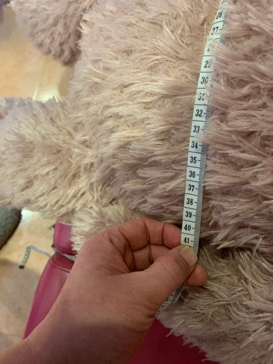 シェリーメイ ぬいぐるみ