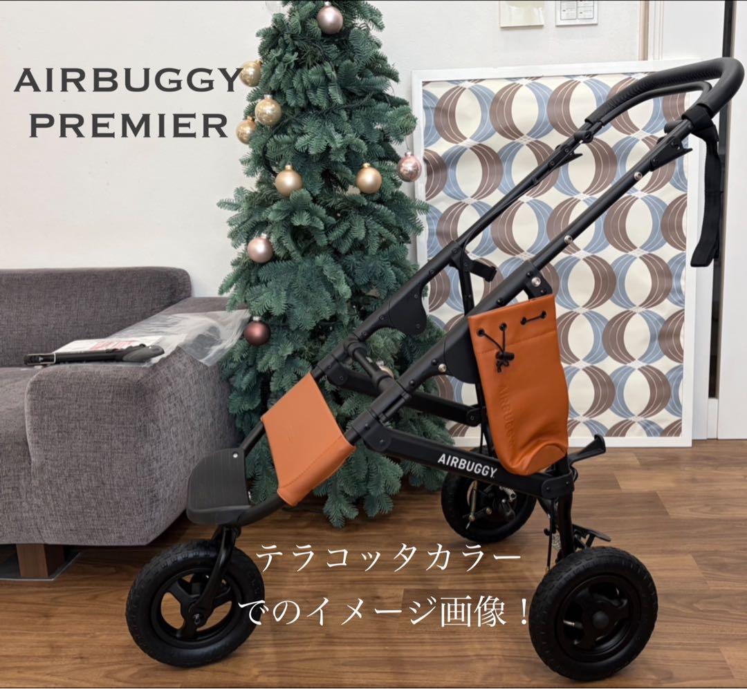 極美品　エアバギー 最上位プレミア 最新フレームDOME3 2 各種対応