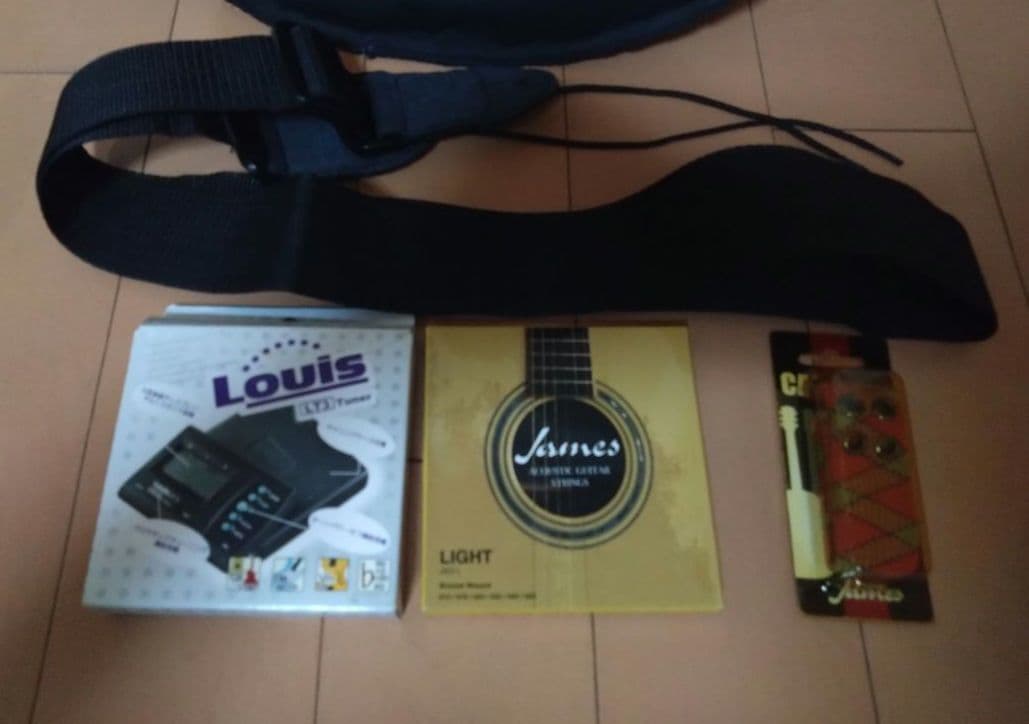 アコースティックミニギター LumberL100MNA ケース他付属品５点