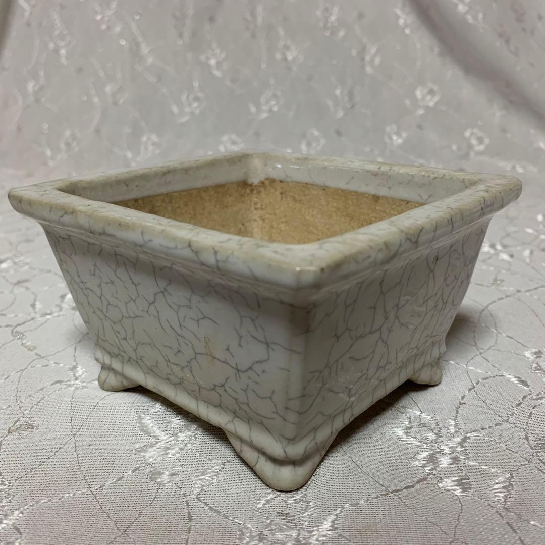 樹晃　正方　盆栽鉢