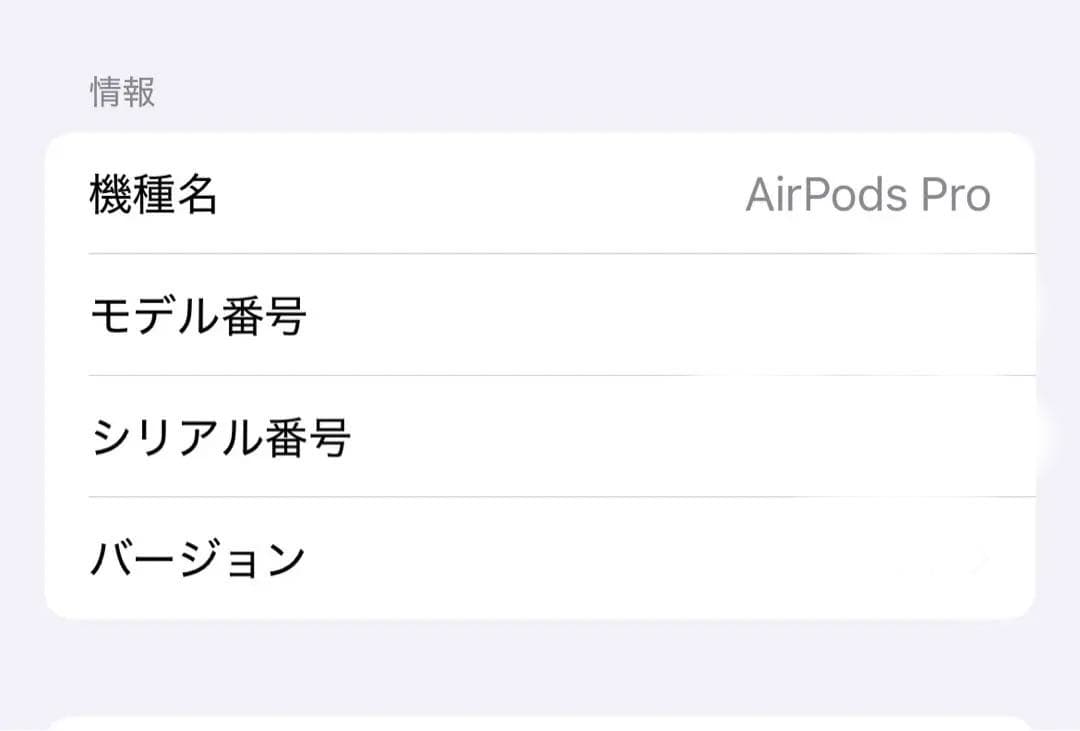 AirPods Pro 第2世代　本体 +シルバーケース　ライトニング　箱あり