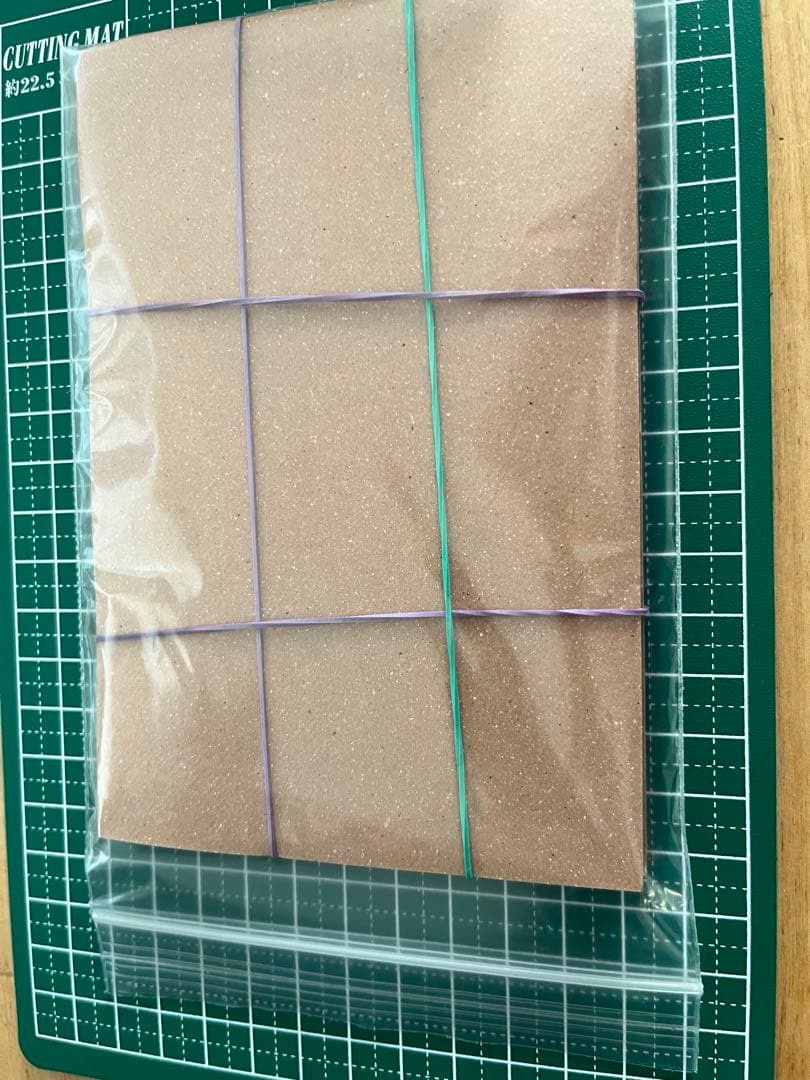 エーフィ　VMAX SA PSA10