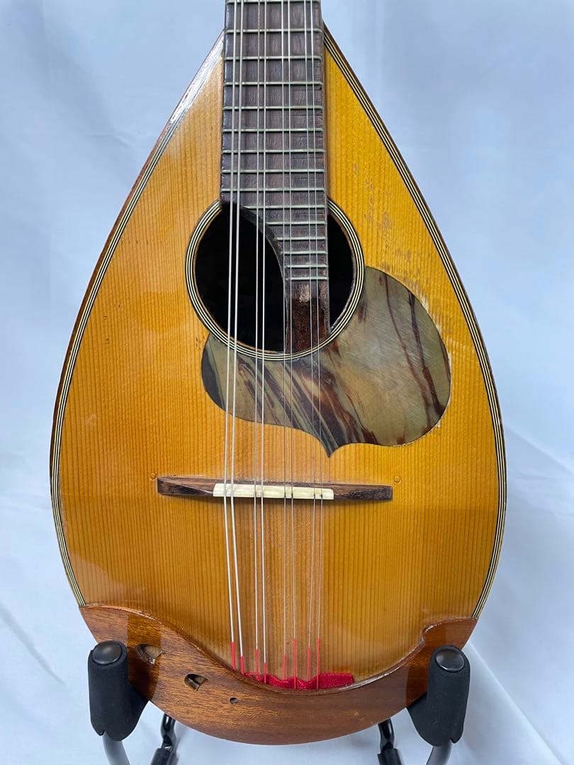 ラファエレ・ カラーチェ マンドリン No.24