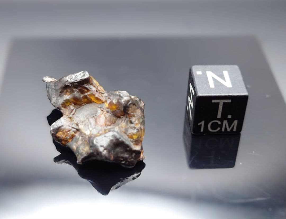 隕石 ゴールデン パラサイト⭐