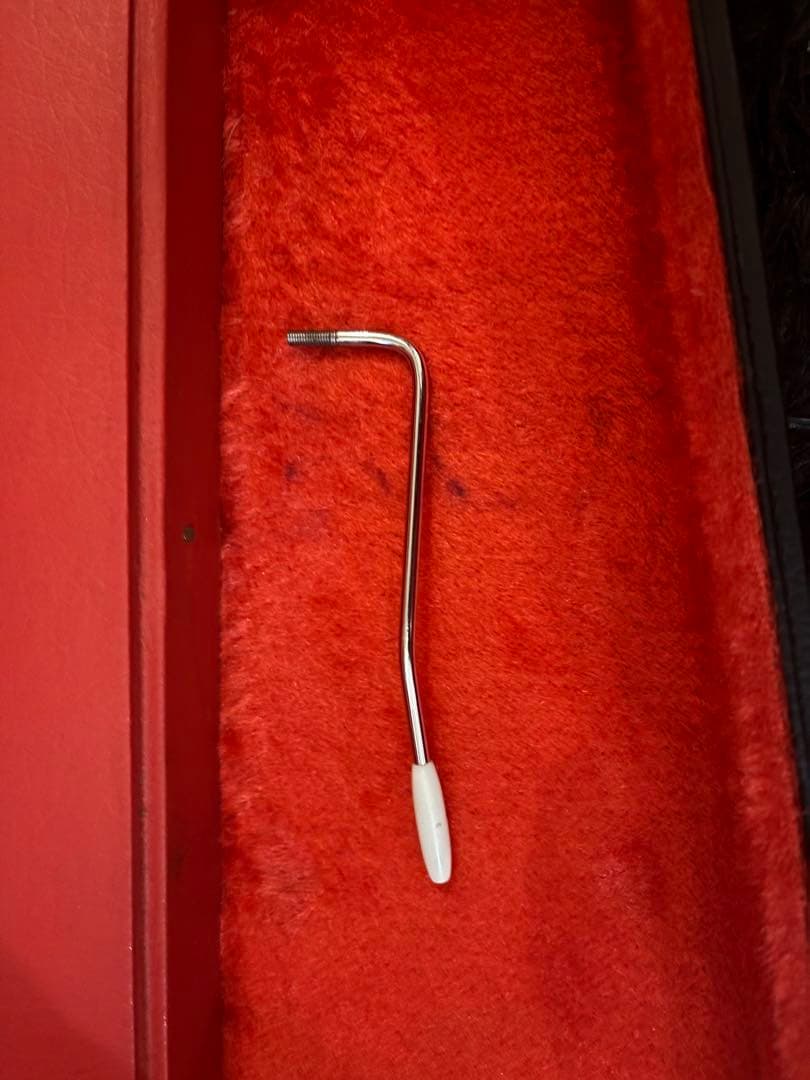 fernandes 石ロゴFST-85 ハードケース　フェルナンデス