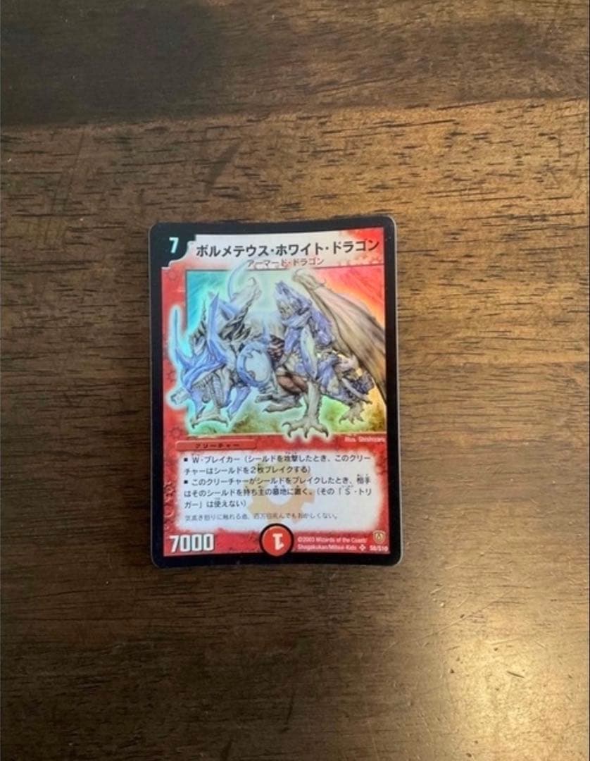 デュエル・マスターズ ボルメテウスホワイトドラゴン、ボルバルザーク他