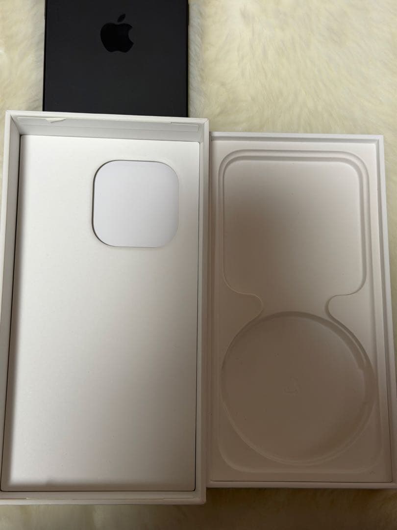 iPhone 15 Pro 本体 ブラックチタニウム