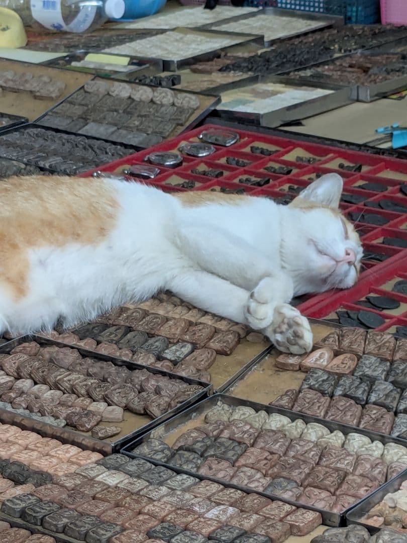 タイのお守りプラクルアン！タイの葛西紀明！レジェンド！ルアンポークン！プラピッタ