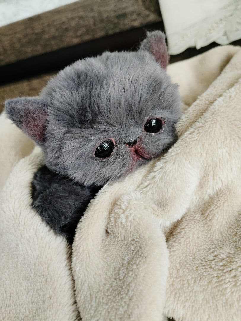 もち様オーダー❤子猫の黒豆ちゃん♡アートドール♡ぬいぐるみ♡