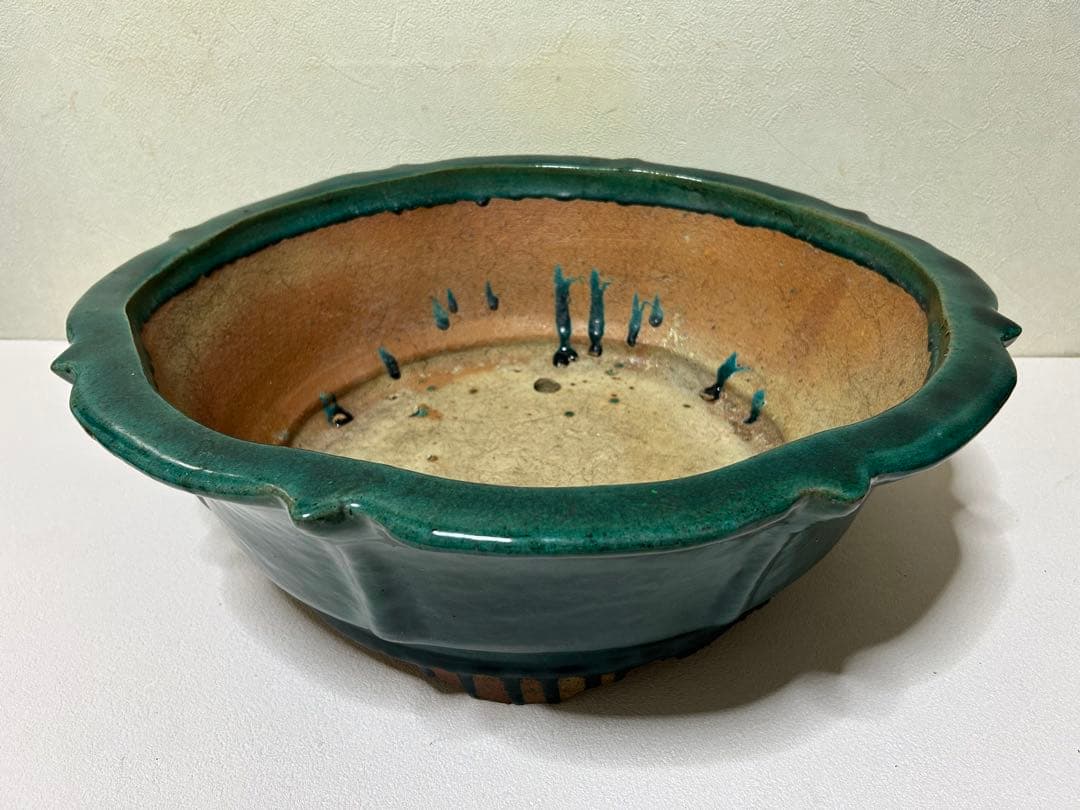 大型　広東鉢　盆栽鉢