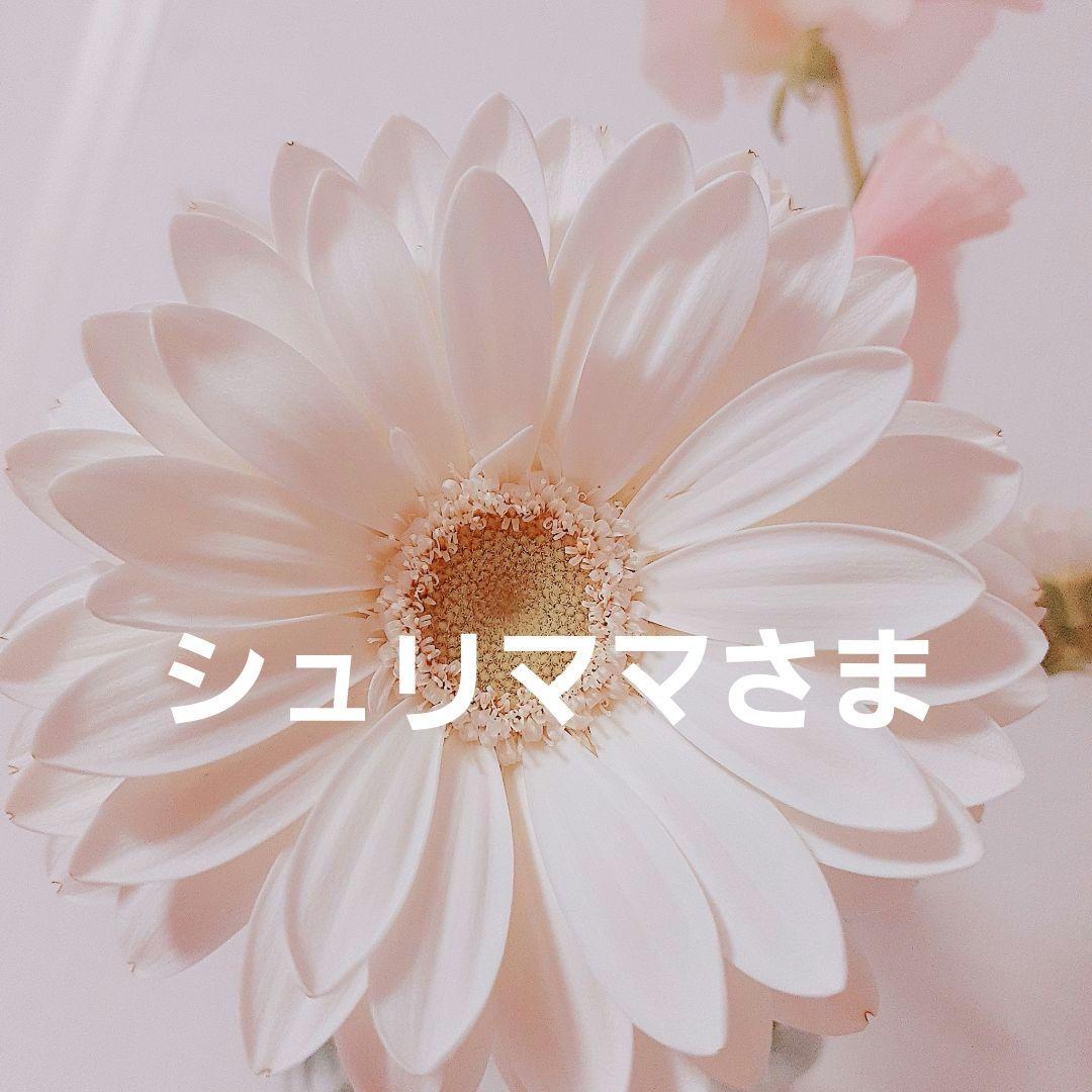 シュリママさま