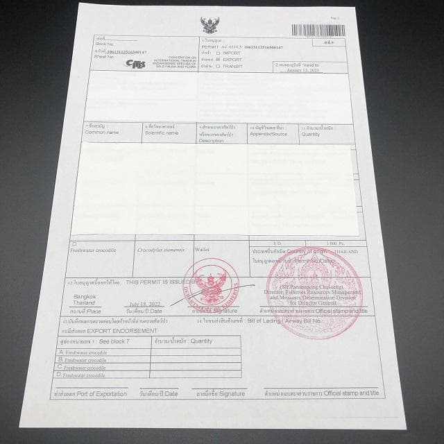 フォロー割適用　本物クロコ・腹革　シャム　クロコダイル商品2点セット