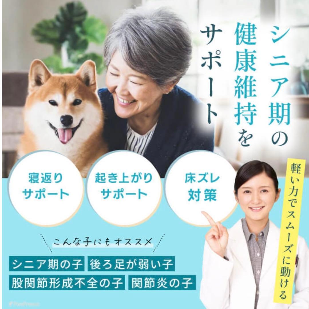 ポンポリース　高反撥エアプレーンマット　サイズL 犬用