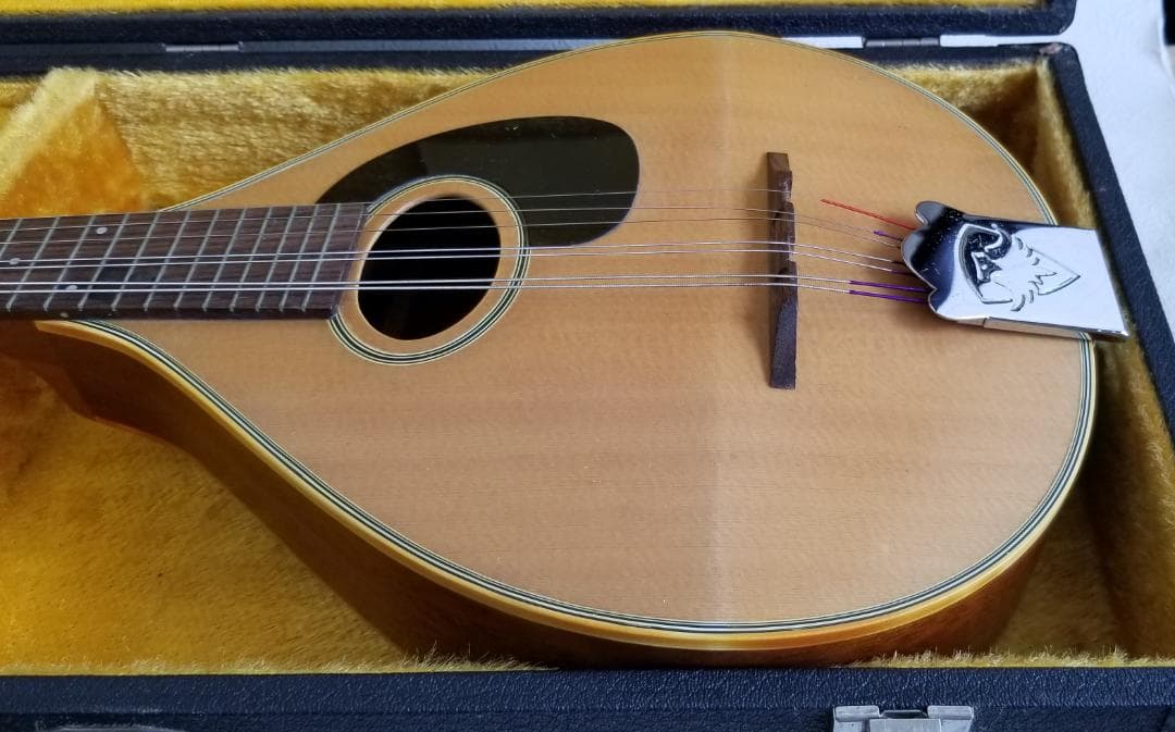 フラットマンドリン・良品（田原楽器：TETOMAS）ケース・新品弦付き