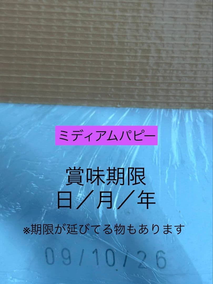  CANIN ミディアム パピー 16kg