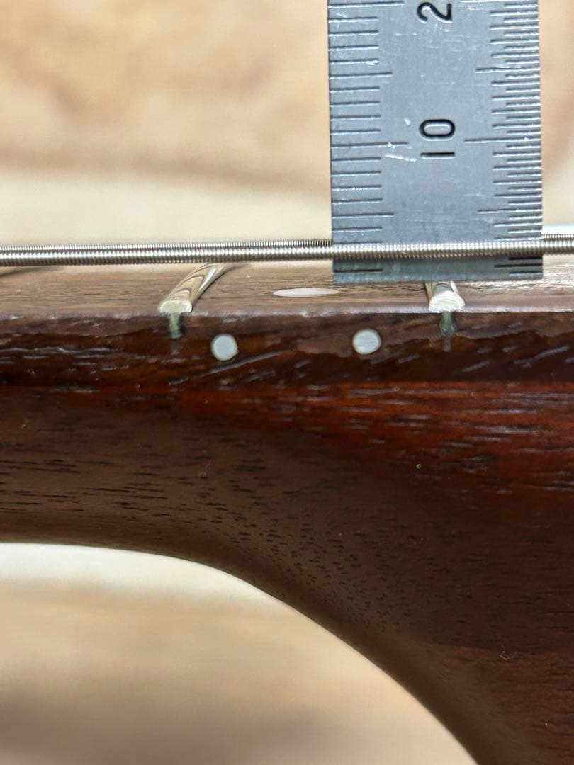 seagull grand(ハードケース付き エレアコ)