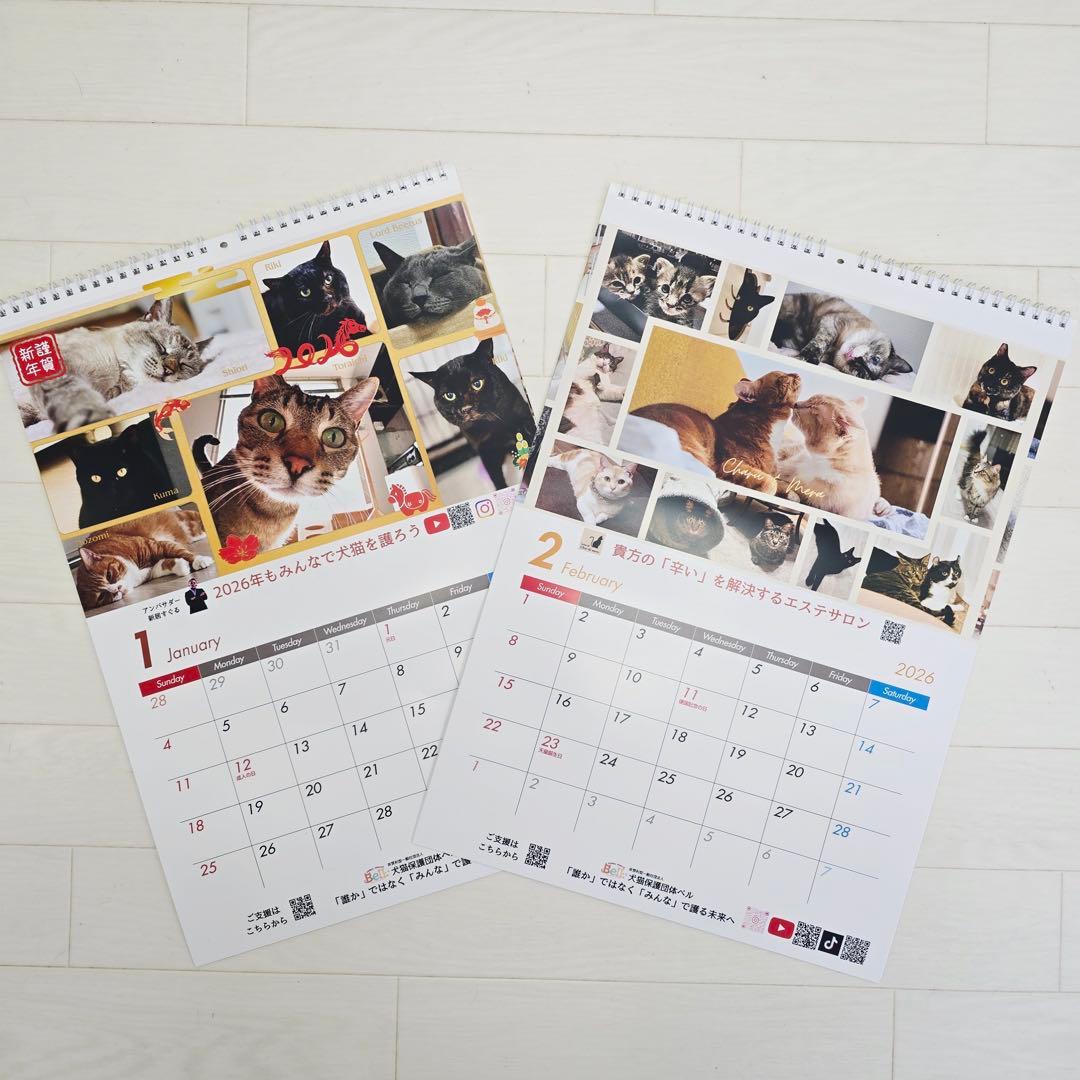 ①《猫》壁掛けチャリティーカレンダー5枚セット