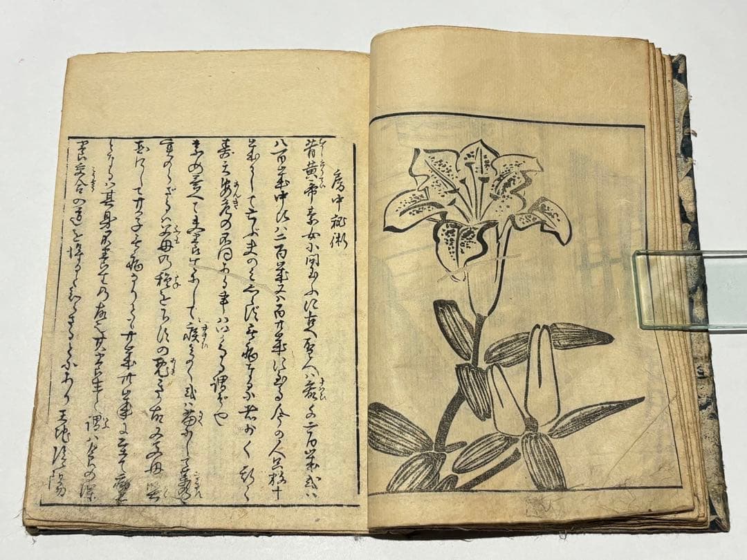 「艶本 里気色（艶本虎之巻）」速水春暁斎画 木版画 揃3冊|春画 和本 浮世絵