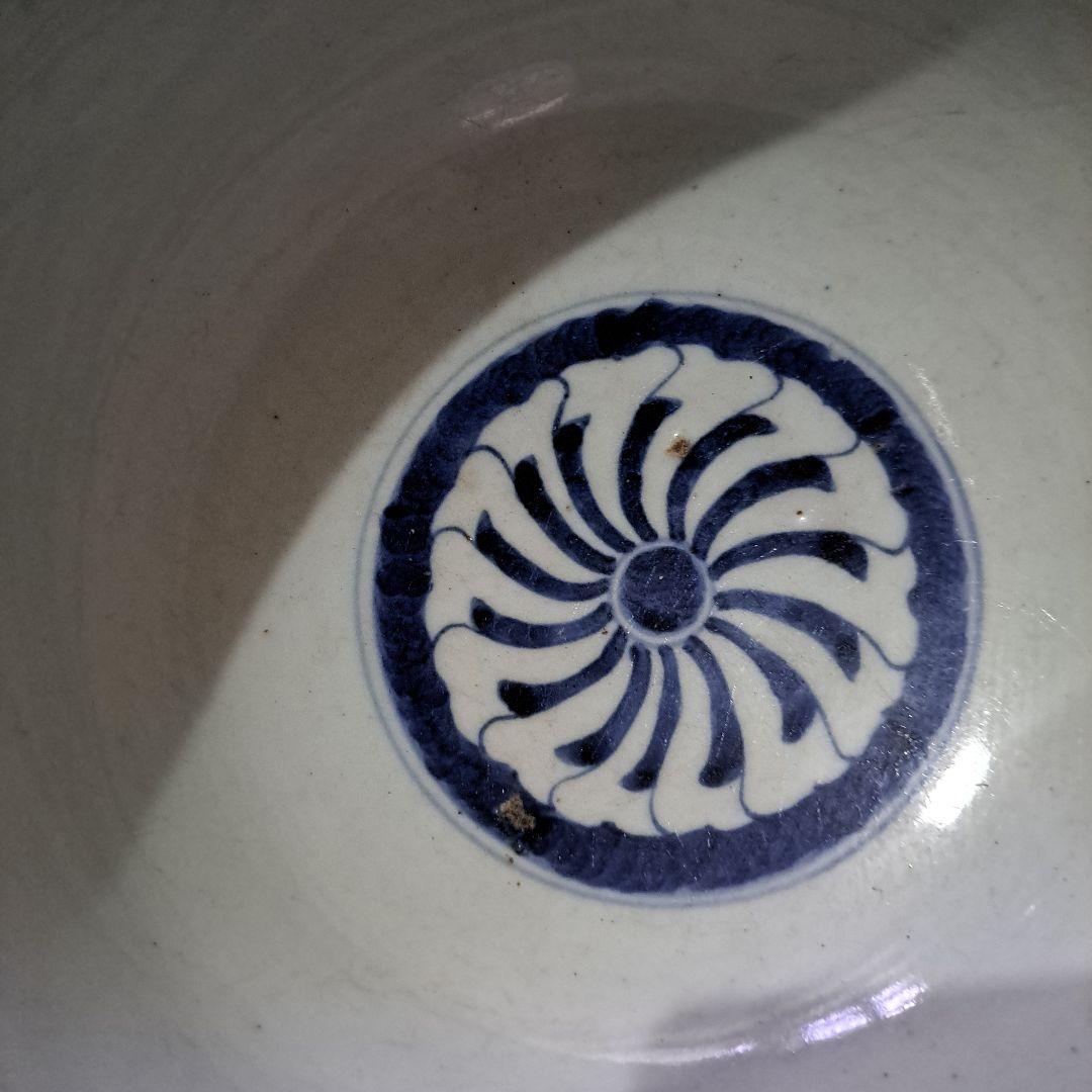 古伊万里　呉須染付青磁　深鉢　輪花赤縁　口太　高台　立割菊花図　江戸後期