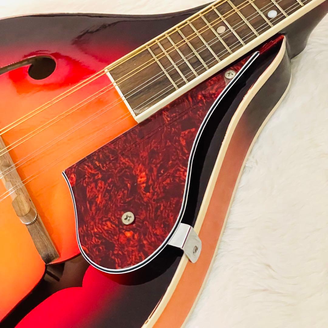 【激安】 マンドリン 8 弦 F ホール マンドリン バスウッド キ