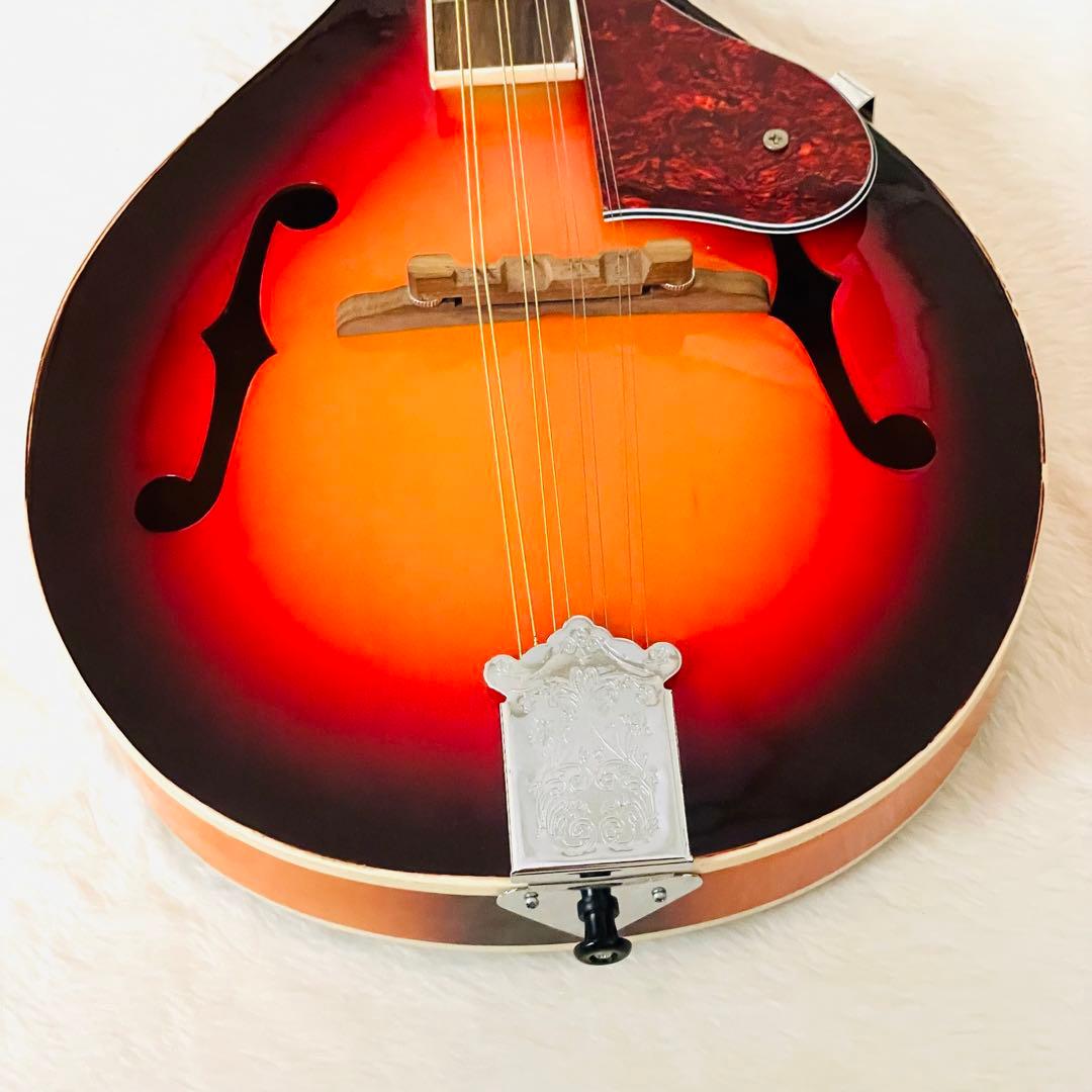 【激安】 マンドリン 8 弦 F ホール マンドリン バスウッド キ