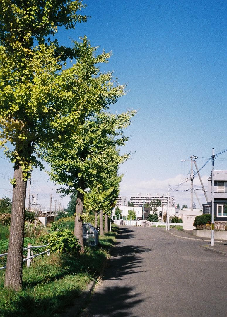 【フィルム試写あり・整備品】オリンパス　PEN-EES ３点ゾーンフォーカス