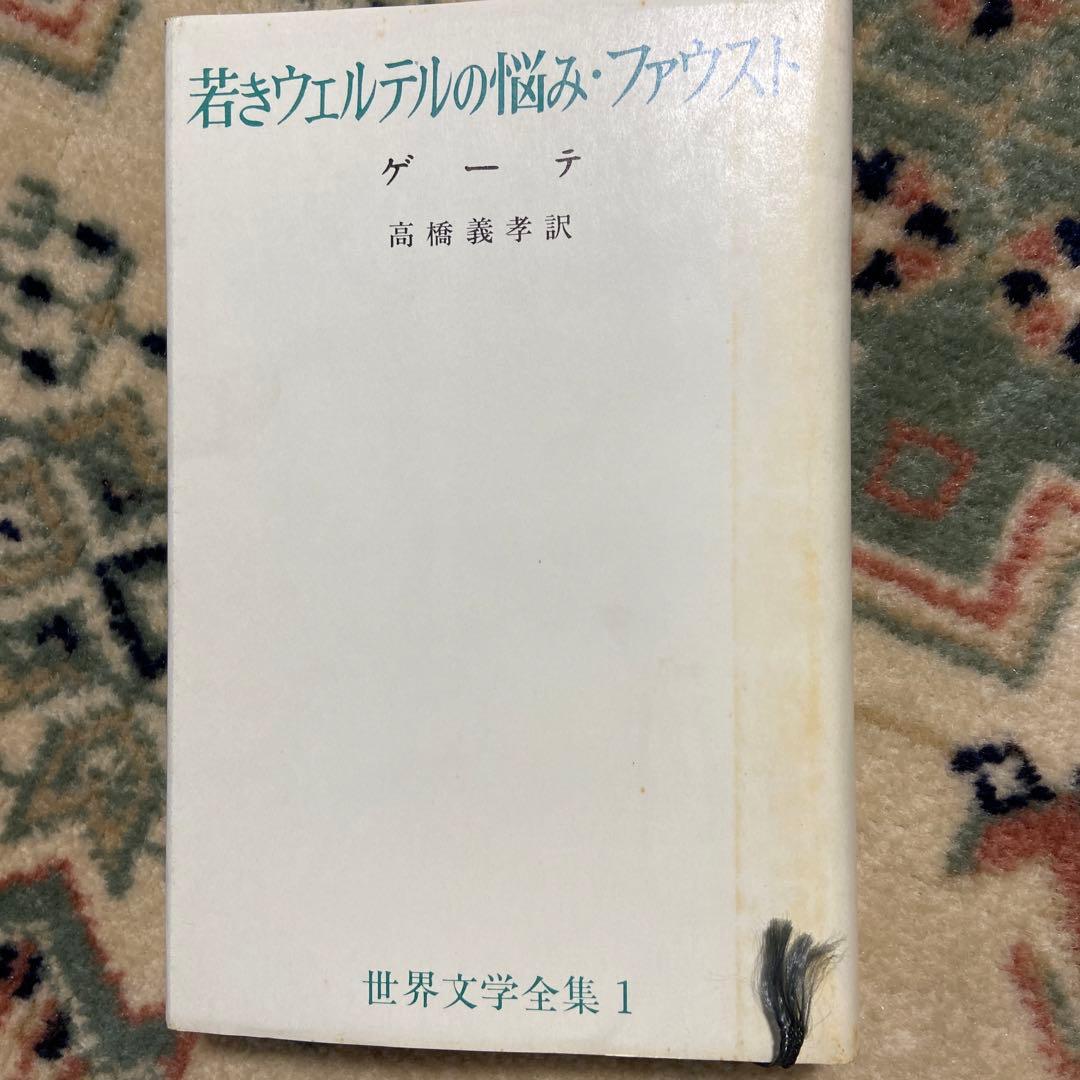 新潮社　世界文学　希少　全集50巻まとめ売り　純文学　世界の作家