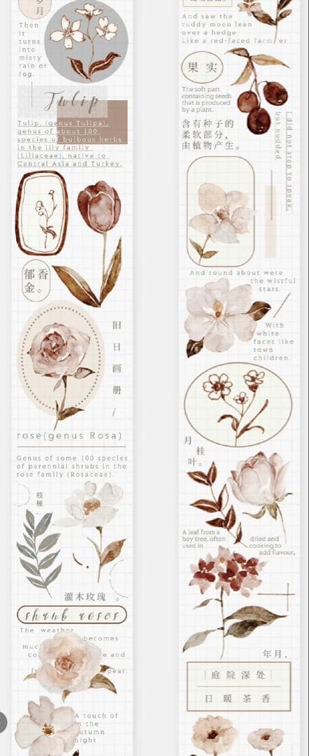 《在庫ラスト最終値下げ》海外 マスキングテープ雀斑茶 6点⚠️pet（33.324