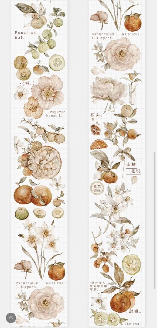 《在庫ラスト最終値下げ》海外 マスキングテープ雀斑茶 6点⚠️pet（33.324