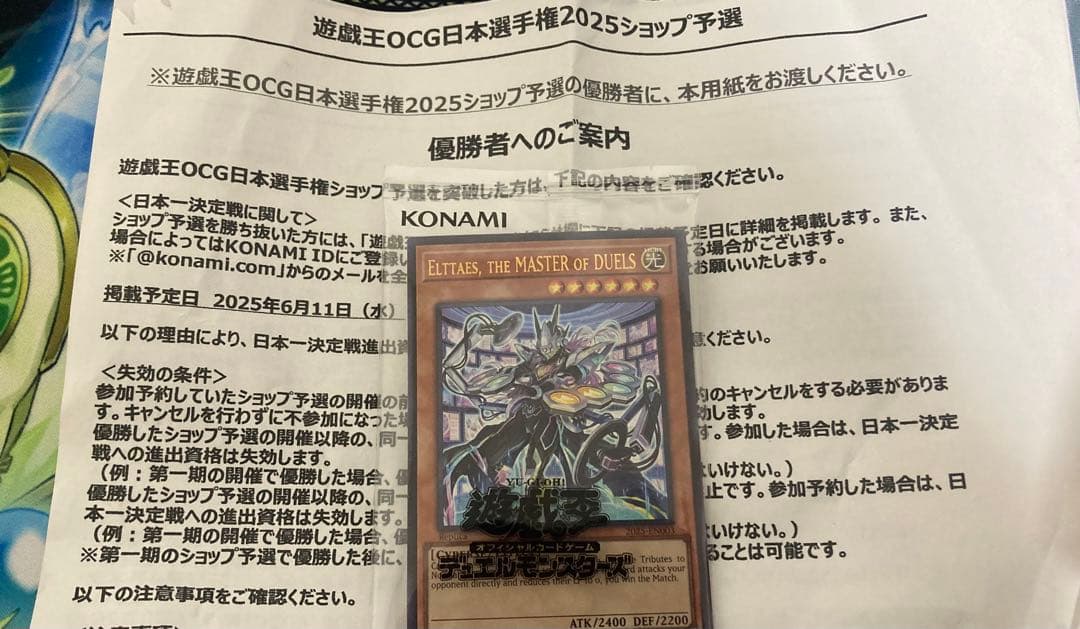 遊戯王 日本選手権 優勝プロモカード