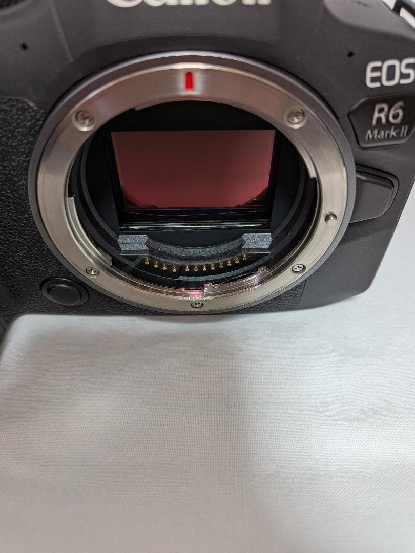 Canon R6 Mark II + RF24-105mm F4L USMキット