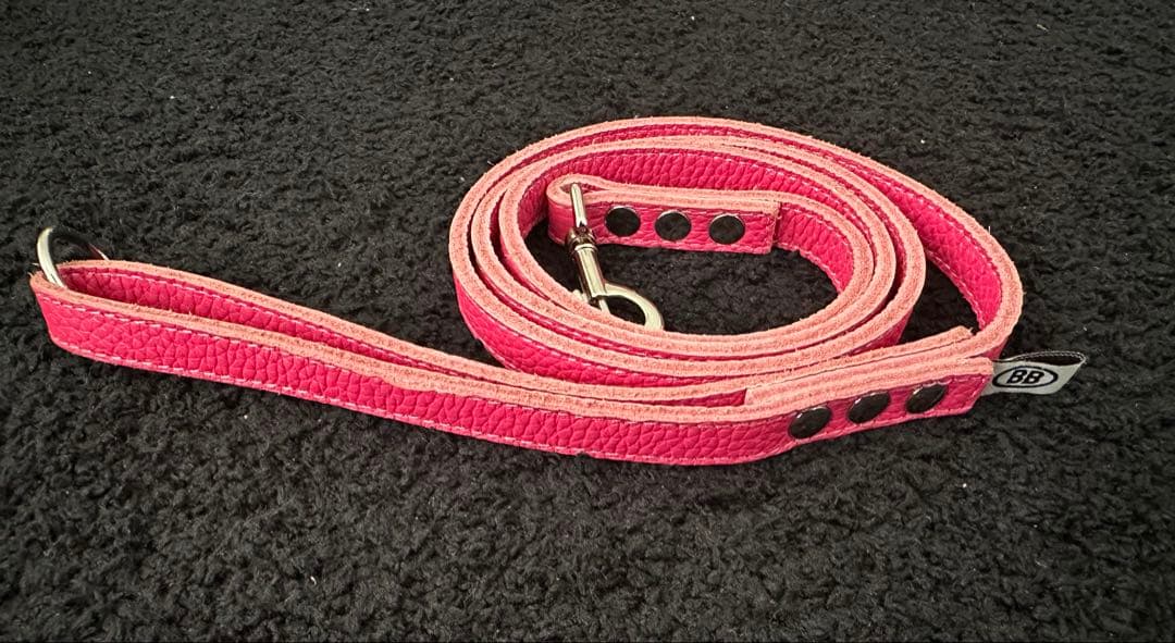 BBベルト＆オールレザーリード