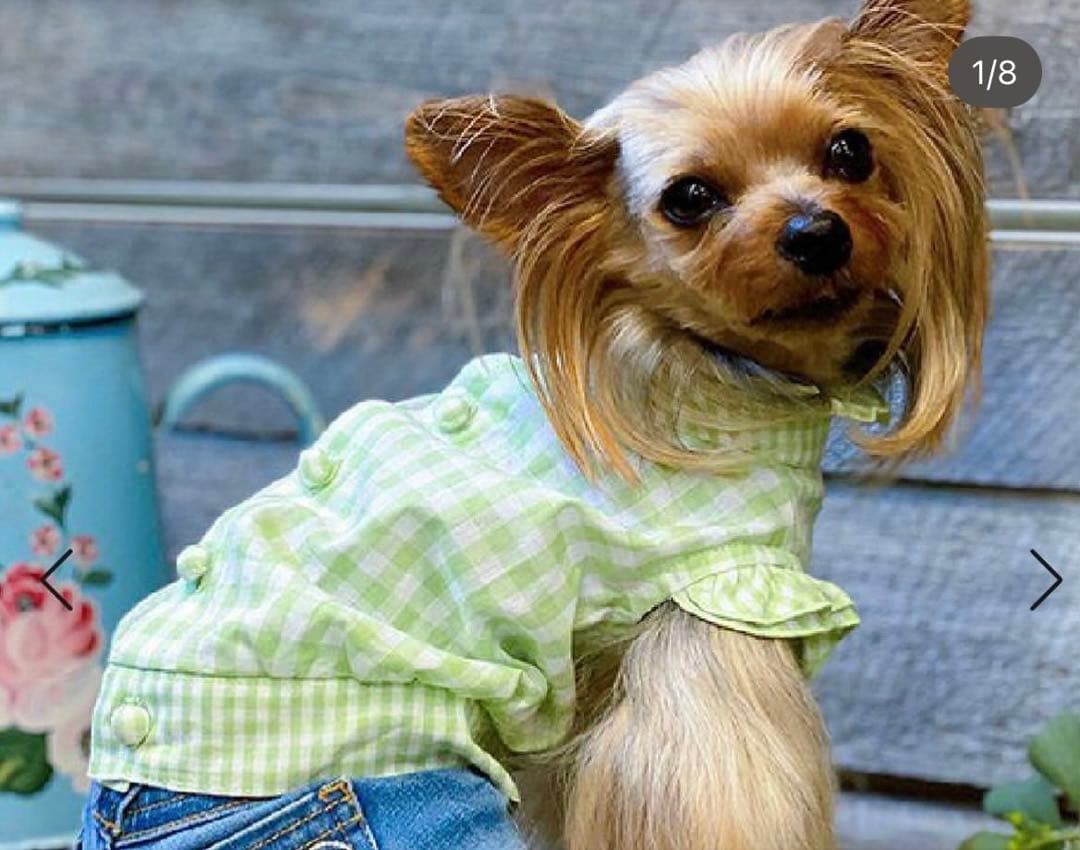 アズノウアズデワンサイズ⑴