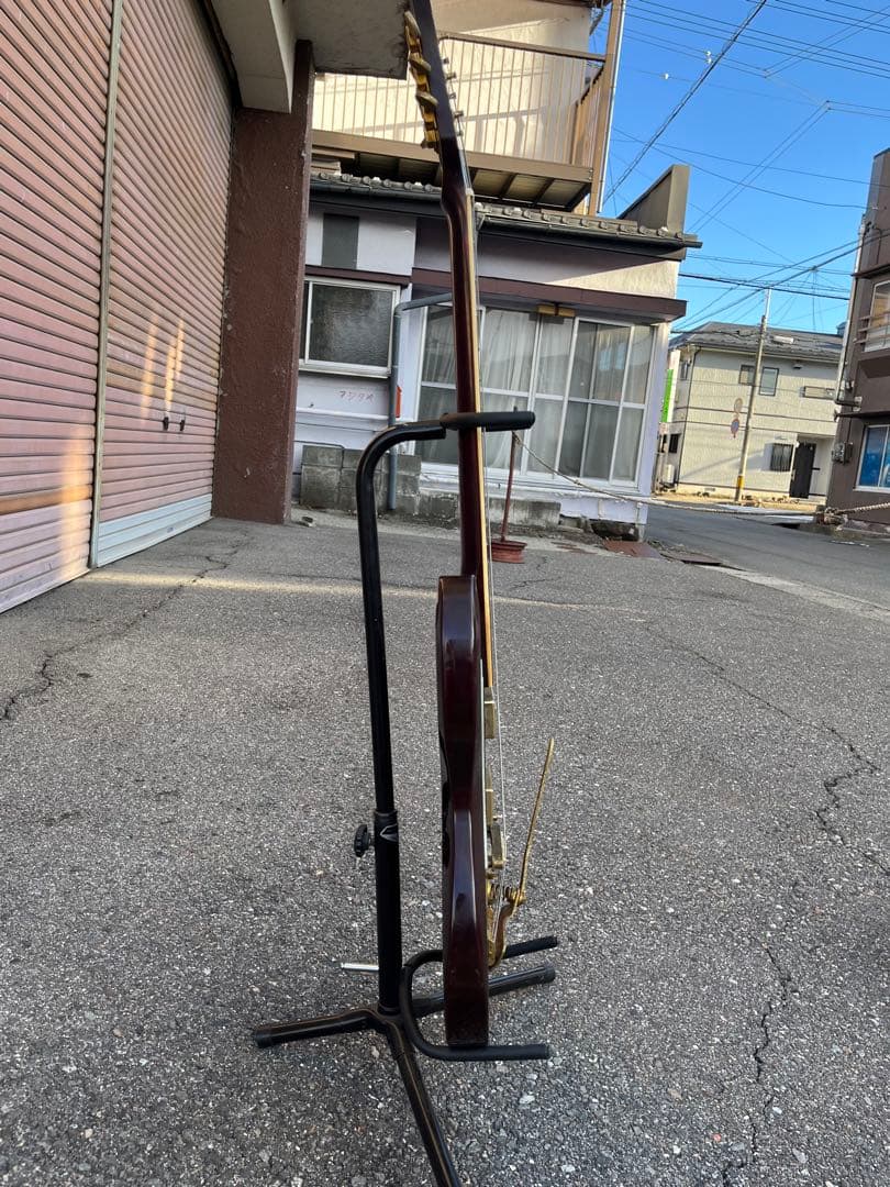 【Lake（レイク） 日本製 ビザールギター 長野ローカルブランド】