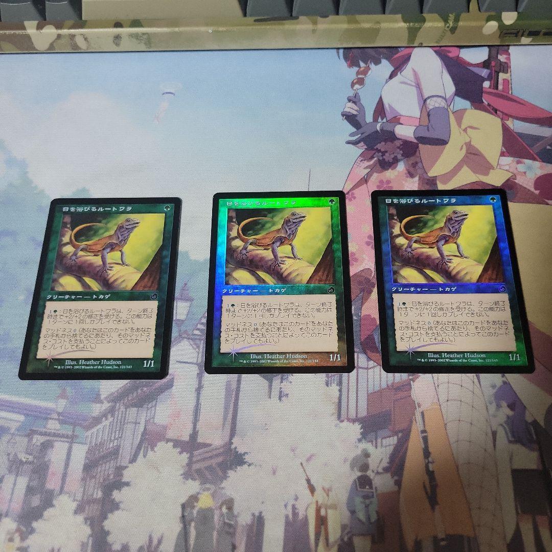 MTG 日を浴びるルートワラ foil