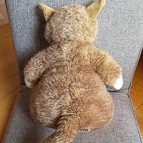 #わちふぃ－るど#ダヤンぬいぐるみ