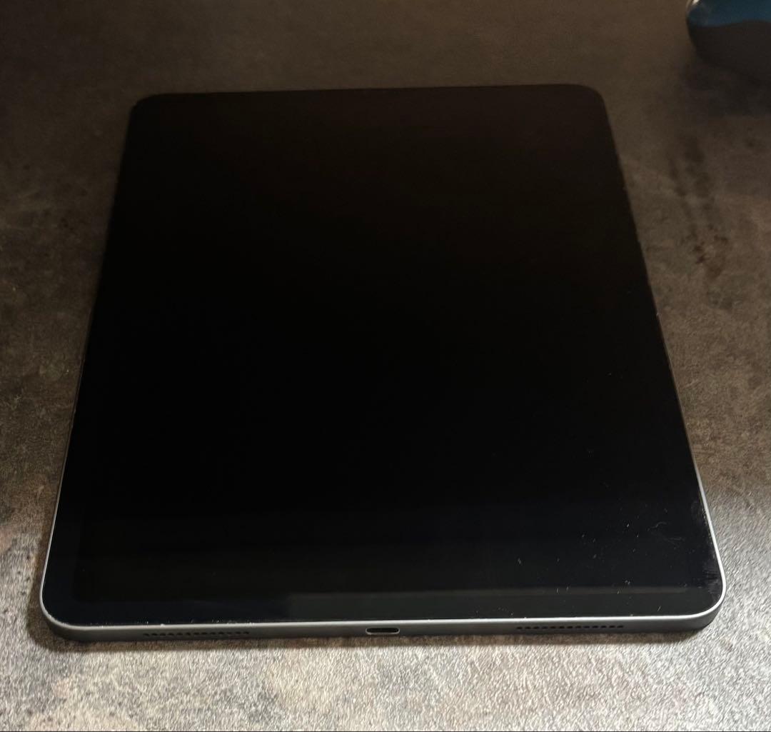 美品:iPad Pro 11-inch (第2世代)256GB ペンシル付き