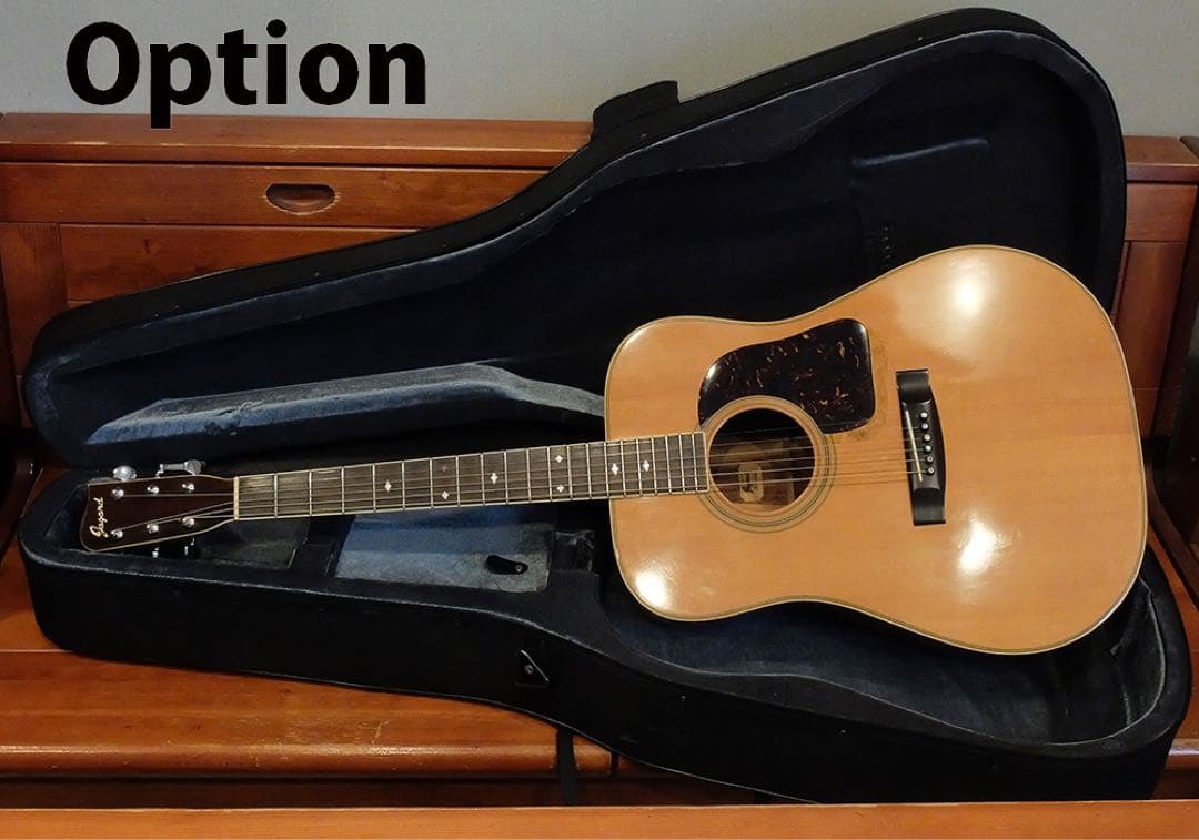 Jagard JG-35 寺田楽器 爆鳴り ジャパンビンテージ