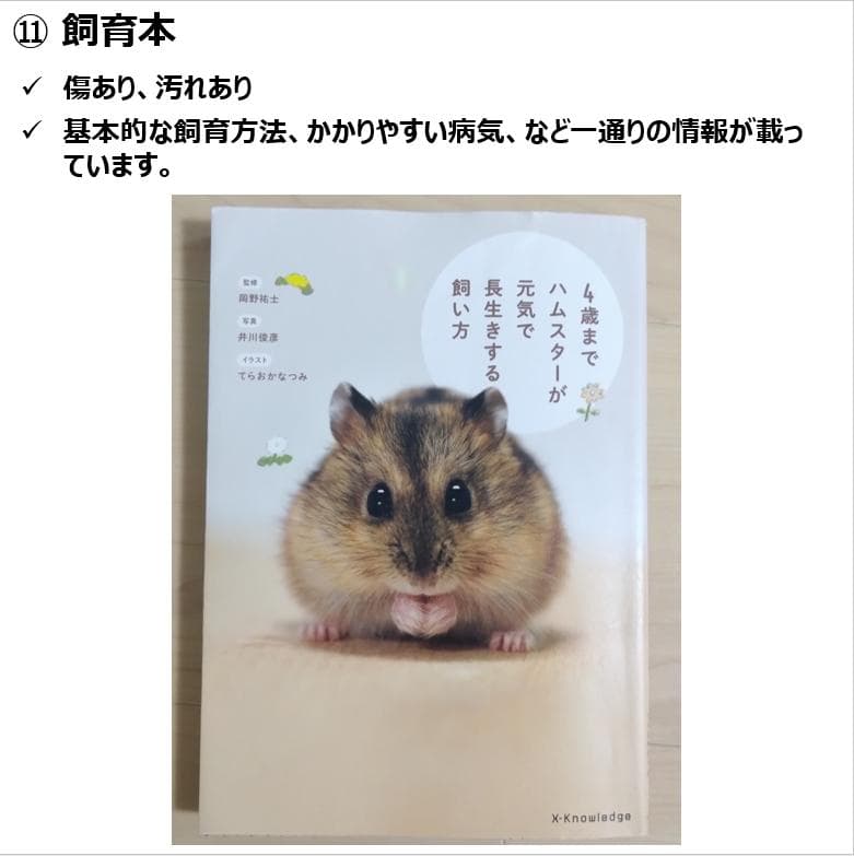 ルーミィ60 ゴールデンハムスター お迎えセット