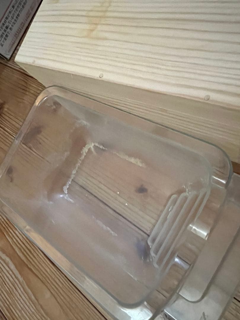 小動物用飼育用品セット　ハリネズミ