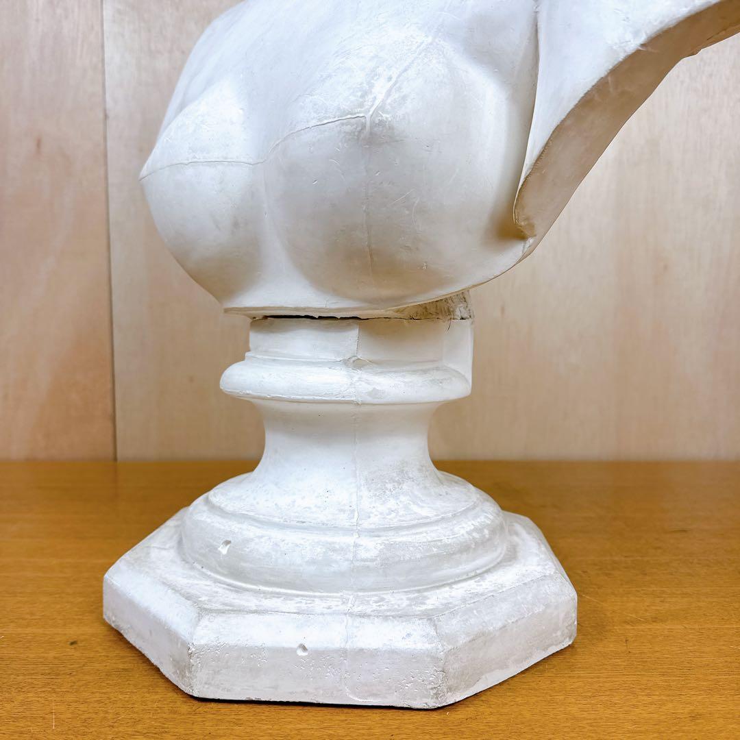 石膏像 カピトリーノ ヴィーナス 胸像 デッサン 美術 恥じらいのヴィーナス