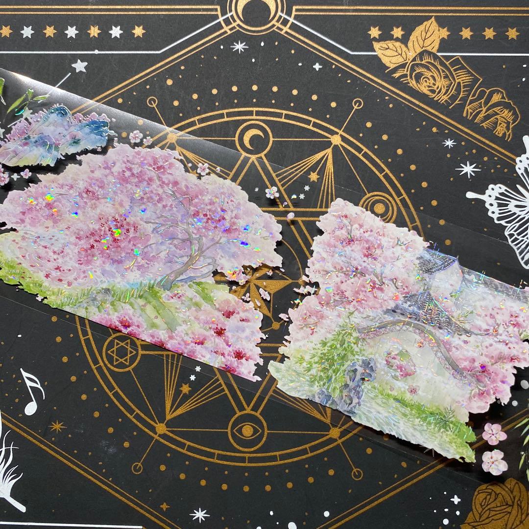 【9254】海外　マステ　中古巻　貝殻光マスキングテープ　半透明　自然風景