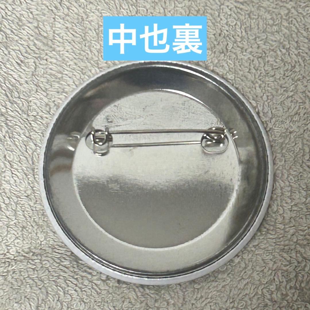 文スト DEADAPPLE 入場特典缶バッジ 春河35 コンプリート