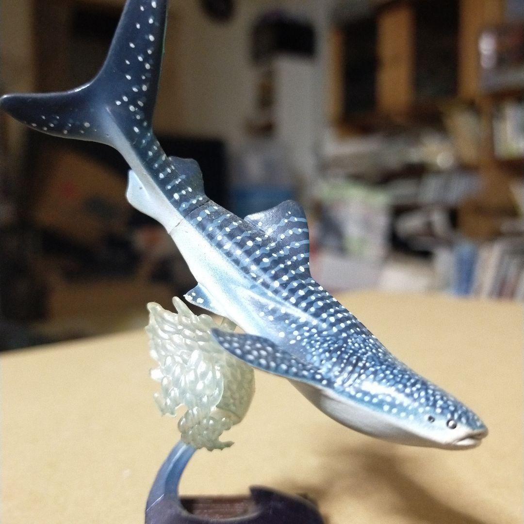 貴重レア　ジンベイザメ「海遊館ミュージアム ネイチャーテクニカラー」 海遊館限定