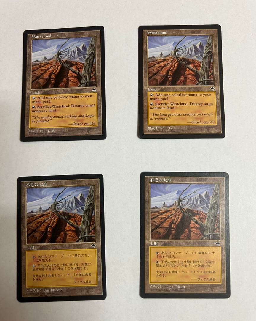 不毛の大地　Wasteland 4枚セット