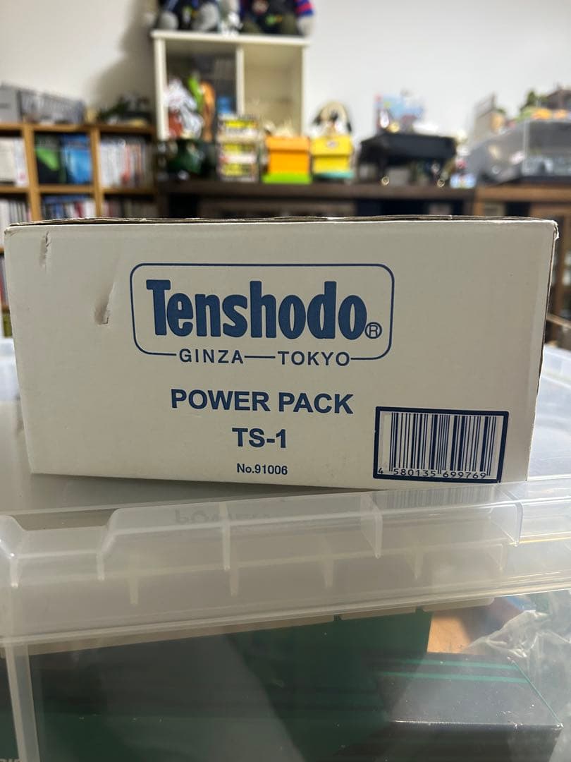 天賞堂　パワーパックTS-1 使用歴極少